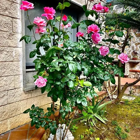 Appartement Cristina Formia